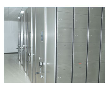 �Ƅӱ�����